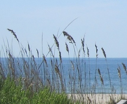 sea oats and beach at Oak Island NC